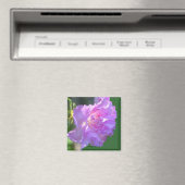Rosa Azalea Blume Foto Magnet (In Situ (Geschirrspüler))