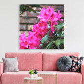 Rosa Azalea Blume Leinwand (Insitu (Wohnzimmer))