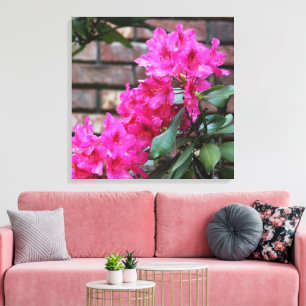 Rosa Azalea Blume Leinwand