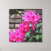 Rosa Azalea Blume Leinwand (Vorderseite)