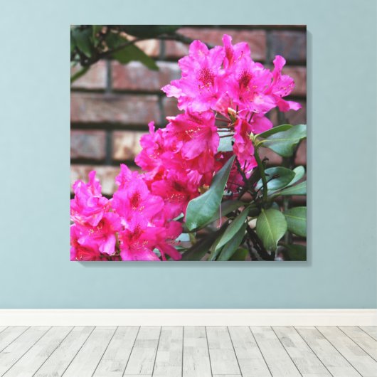 Rosa Azalea Blume Leinwand (Insitu (Holzboden))