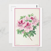 Rosa Azalea Botanische Illustration Vintag Postkarte (Vorne/Hinten)