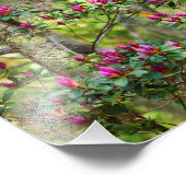 Rosa Azalea Fotodruck (Ecke)