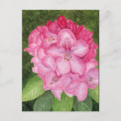 Rosa Azalea Kunst, Dichtung Postkarte (Vorderseite)