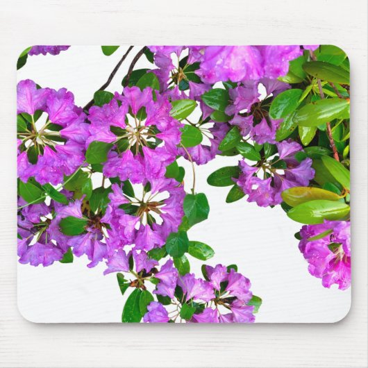 Rosa Azalea Mousepad (Vorne)