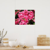 Rosa Azalea Poster (Küche)
