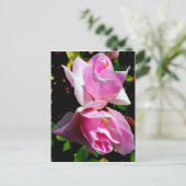 Rosa Azalea Postkarte (Stehend Vorderseite)