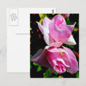 Rosa Azalea Postkarte (Vorne/Hinten)