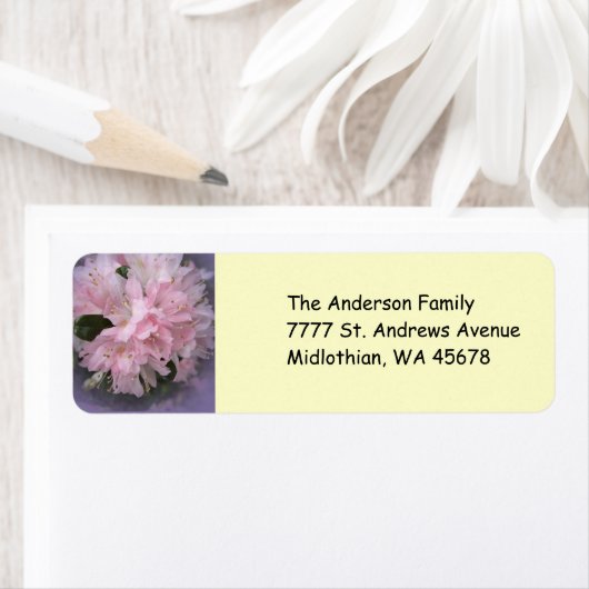 Rosa Azalea Rücksendeadresse (Insitu)