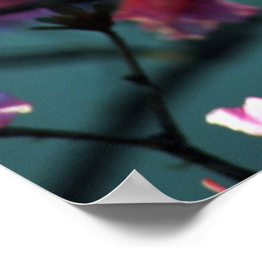 Rosa Azalea und Bedeutung Poster (Ecke)