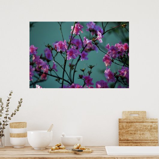 Rosa Azalea und Bedeutung Poster (Küche)