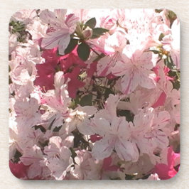 Rosa Azalea Untersetzer