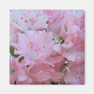 Rosa Azaleas-Magnete Magnet