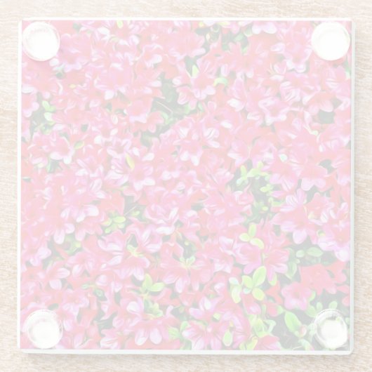 Rosa Azaleas Untersetzer (Rückseite)