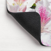 Rosa Azaleen Blume Blumengeschenke Mousepad (Ecke)