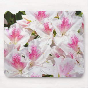 Rosa Azaleen Blume Blumengeschenke Mousepad