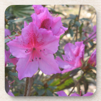 Rosa Azaleen Blume Cork Untersetzer