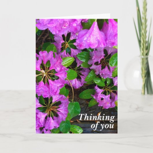 Rosa Azaleen Blume, rustikales Hinterhofholz Karte (Vorderseite)