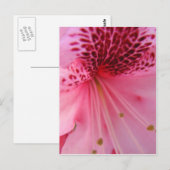 ROSA AZALEEN-BLUMEN 24 POSTKARTE (Vorne/Hinten)