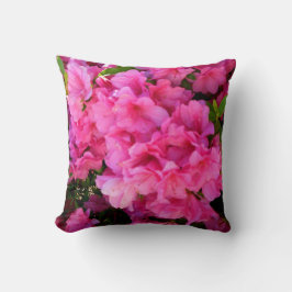 Rosa Azaleen eines südlichen Kissen