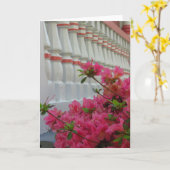 Rosa Azaleen - Martha's Vineyard Card Karte (Gelbe Blume)