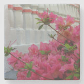 Rosa Azaleen - Martha's Vineyard Steinuntersetzer (Vorderseite)