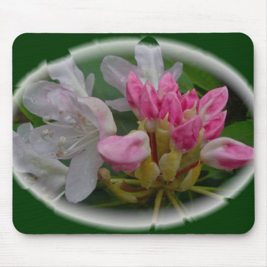 Rosa Azaleen Mousepad (Vorne)