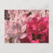 Rosa Azaleen Postkarte (Vorderseite)
