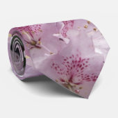 Rosa Azaleen, Rhododendron Garden Blume Krawatte (Gerollt)