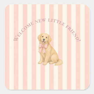 Rosa Babyparty für Golden Retriever Quadratischer Aufkleber