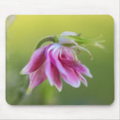 Rosa Ballerina - Kolumbin in Mousepad (Vorne)