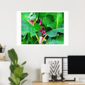 Rosa Banane, rosa Samt aus Musa, Ölgemälde Poster (Heimbüro)