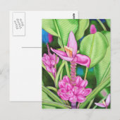 Rosa Bananen Postkarte (Vorne/Hinten)