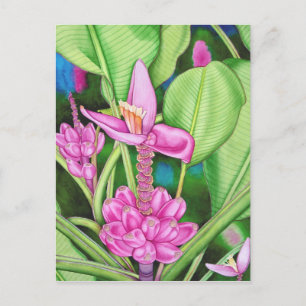 Rosa Bananen Postkarte