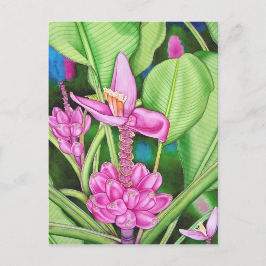 Rosa Bananen Postkarte (Vorderseite)
