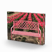 Rosa Bank mit rosa Tulpen Fotoblock (Rechts)