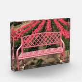 Rosa Bank mit rosa Tulpen Fotoblock (Links)