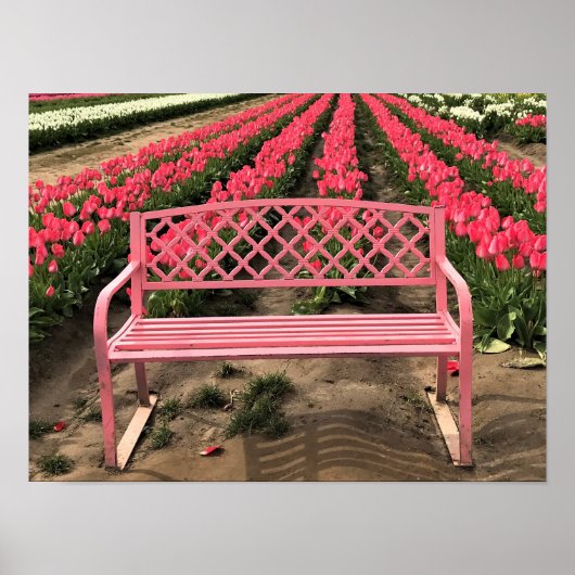 Rosa Bank mit rosa Tulpen Poster (Vorne)