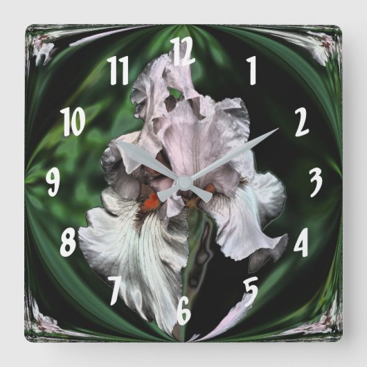 Rosa Bartete Iris Abstrakte Blume Art Quadratische Wanduhr (Vorderseite)