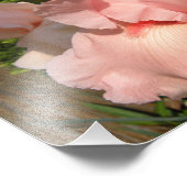 Rosa Barti Fotodruck (Ecke)