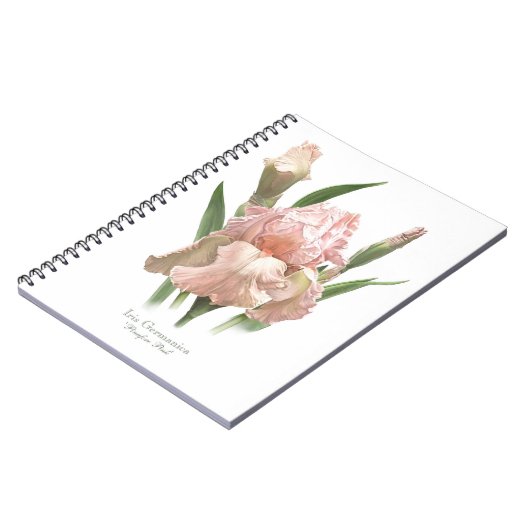 Rosa Barti Notizblock (Linke Seite)