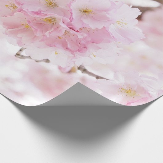 Rosa Baum-Kirschblüte-Kirschblüte Geschenkpapier (Ecke)