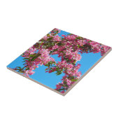 Rosa Baumblüte und blauer Himmel Fliese (Seite)