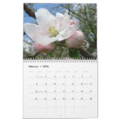 Rosa Bäume Blüten Kalender Weiße Blüten Apfel (Feb 2026)