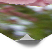 Rosa Bäume Blüten Kunstdrucke Frühjahr Poster (Ecke)
