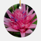 Rosa Beauty Keramikornament (Hinten)