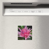 Rosa Beauty Magnet (In Situ (Geschirrspüler))