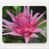 Rosa Beauty Mousepad (Vorne)