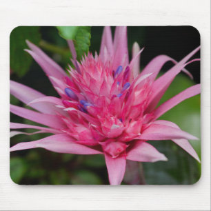Rosa Beauty Mousepad