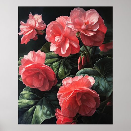 Rosa Begonia Blume Art Print Poster (Vorne)